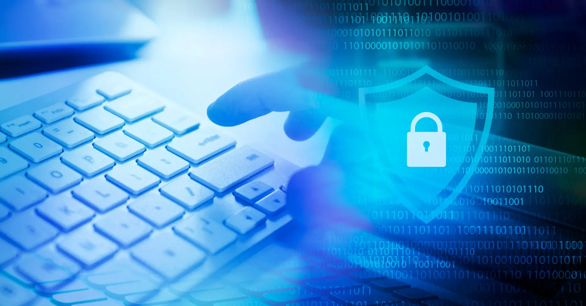 shutterstock_2497979559